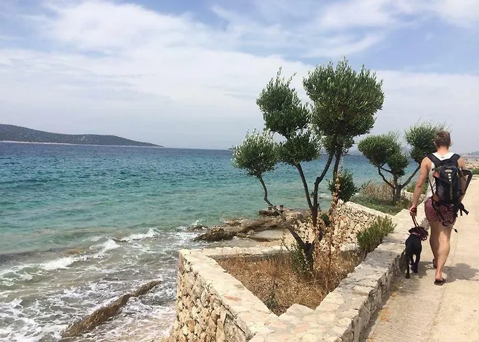 Prvinski Akvarel Prvic Luka